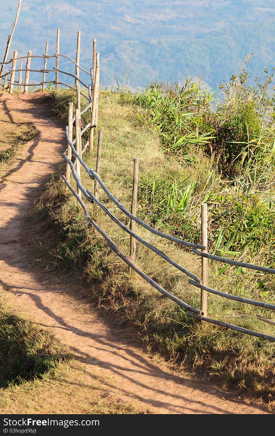 Bamboo fence and walk