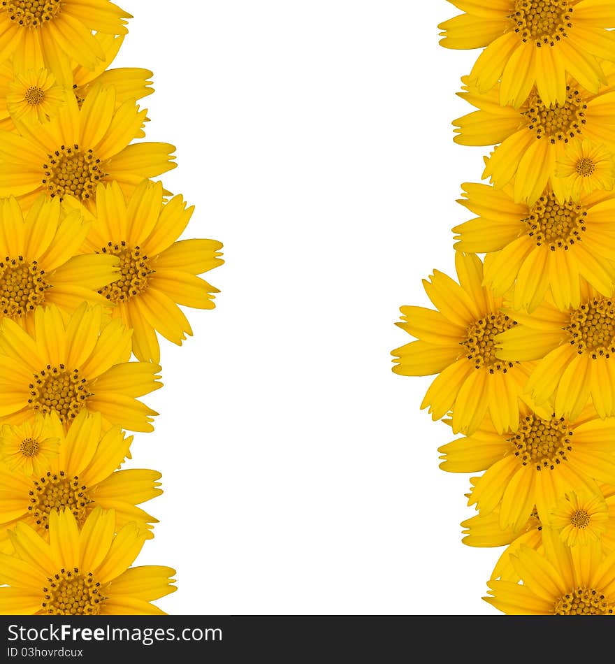 Flower Background