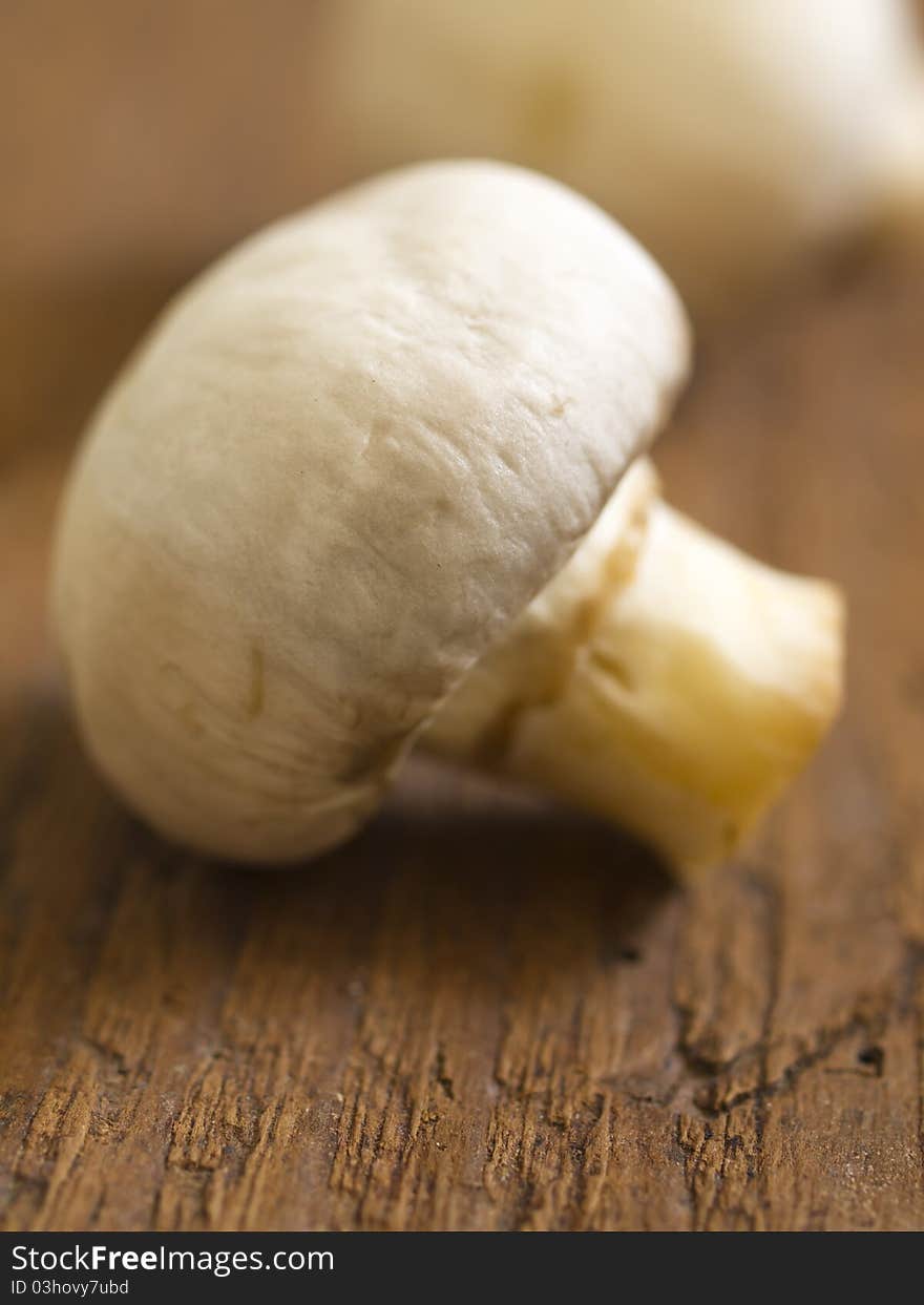 Mushroom, shallow focus