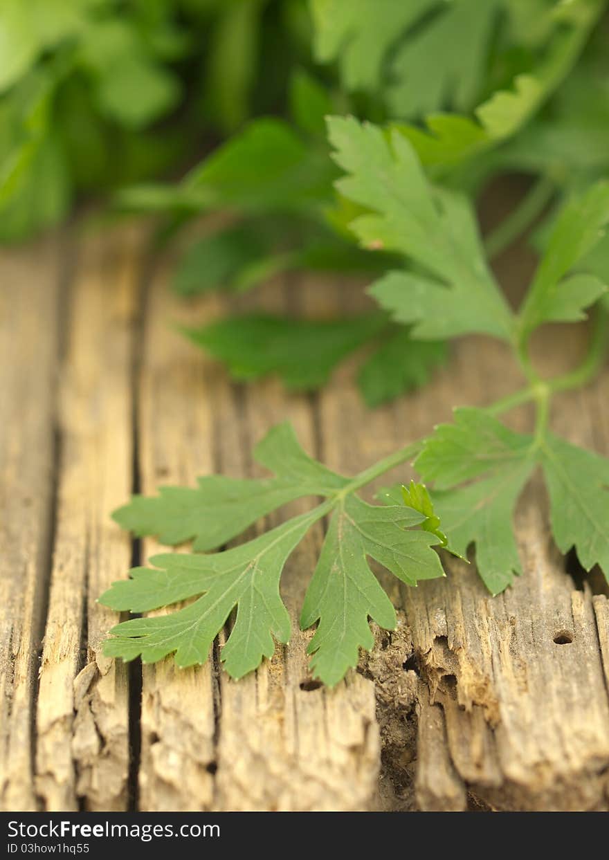 Fresh parsley