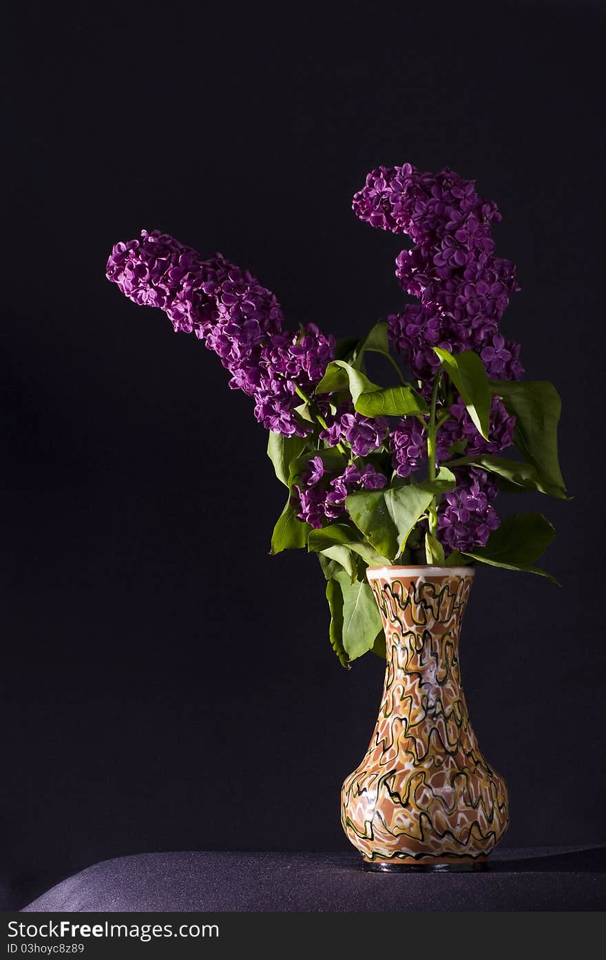 Vase with Lilacs in black background.