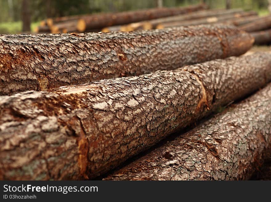 Log background; macro textured image