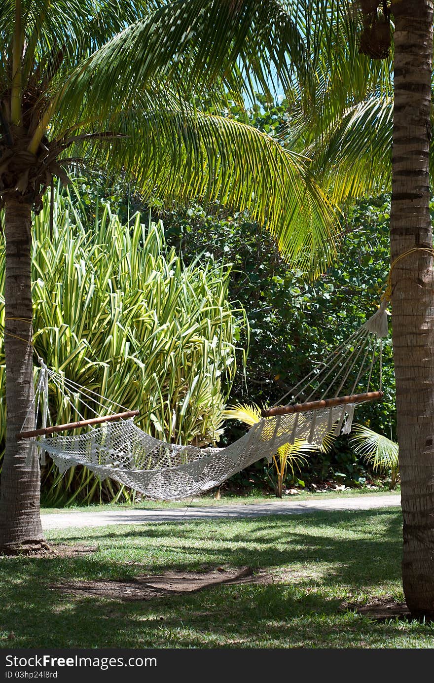 Palm trees background at a hotel - beach resort