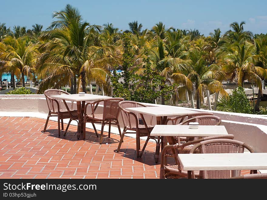 Palm trees background at a hotel - beach resort