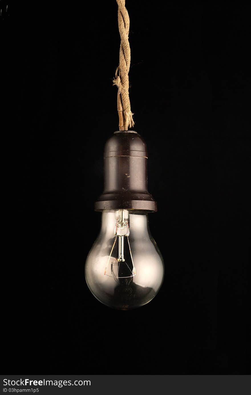 Bulb