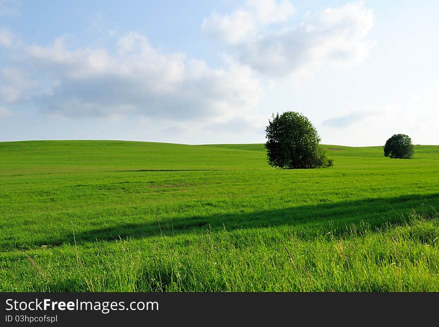 A green field and trees under a light blue sky. A green field and trees under a light blue sky