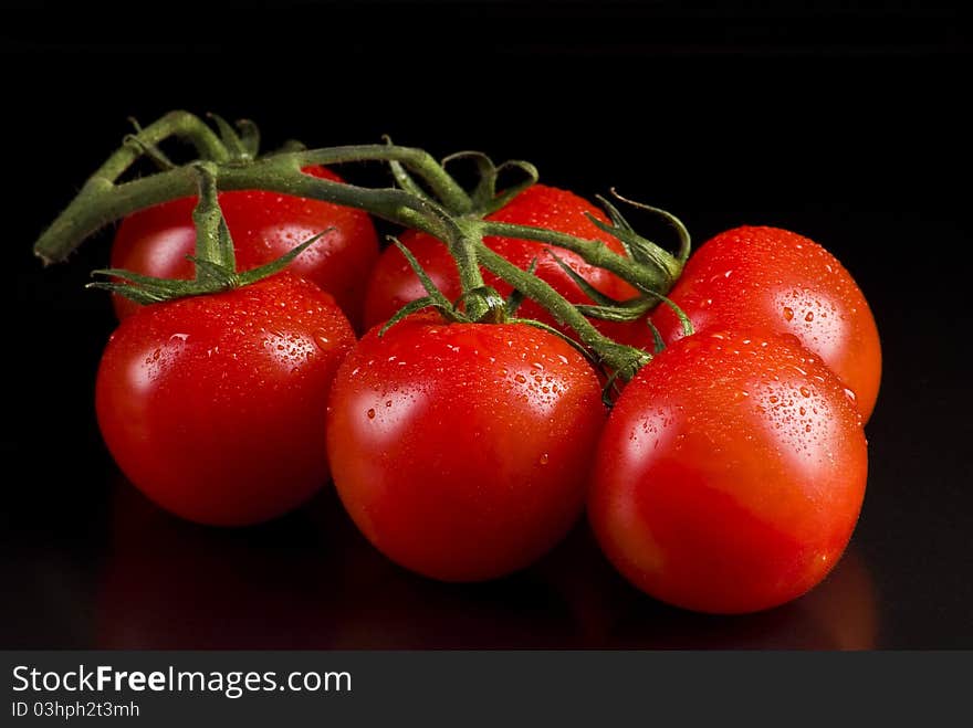 Branch of tomatoes on a black background