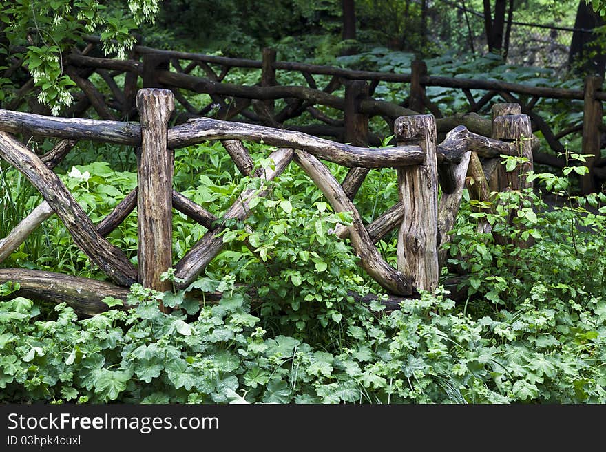 Central Park, New York City Shakespeare gardens with wooden fence after rain storm in the early morning