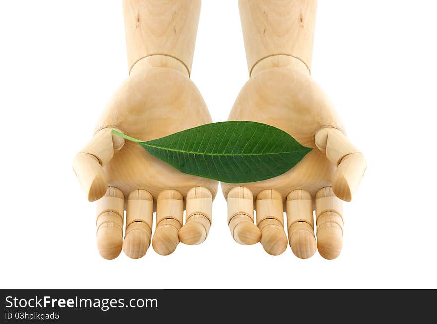 A leaf on wooden hand