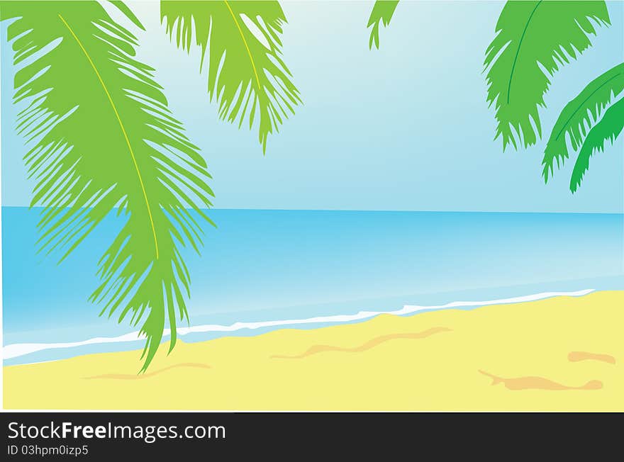 Background. Summer. A green palm tree on a beach.