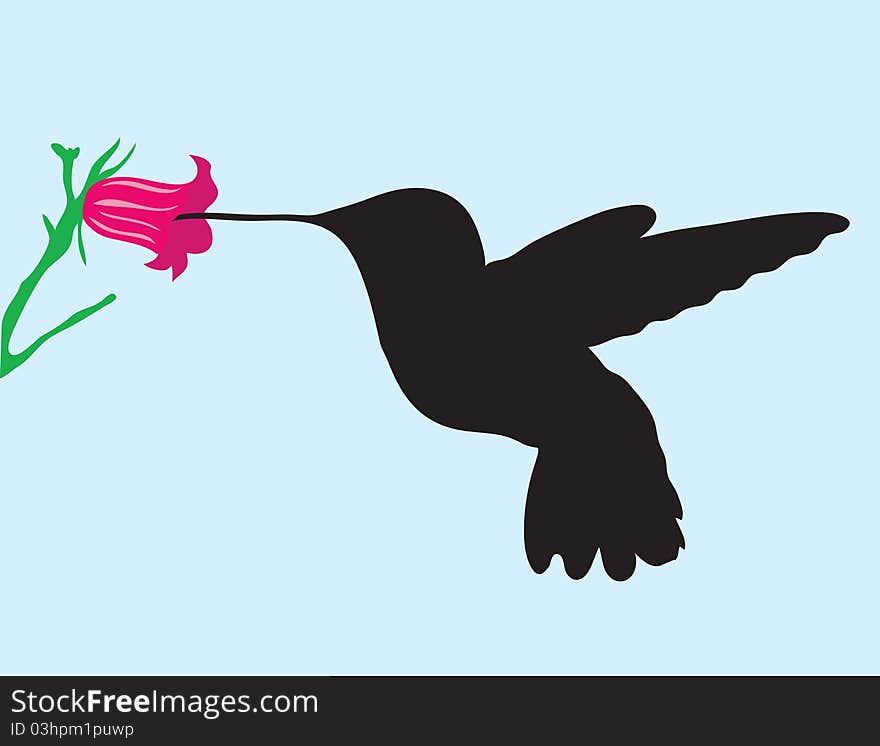 Background. A Silhouette Of The Humming-bird About