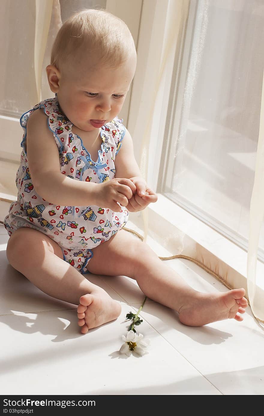 The little girl sits at a window and plays with a camomile flower. The little girl sits at a window and plays with a camomile flower