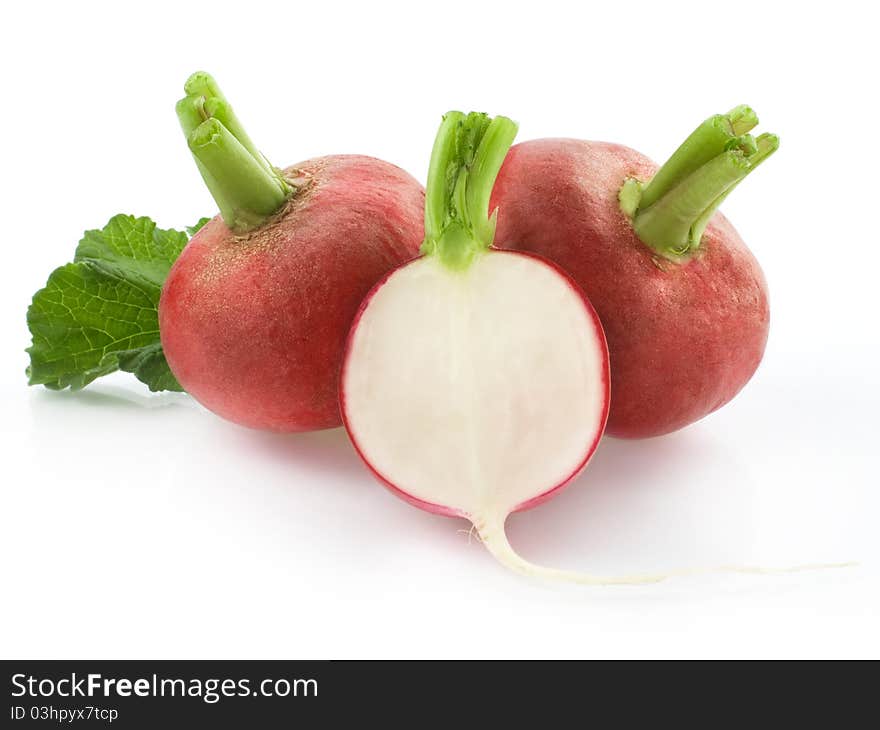 Fresh radishes isolated