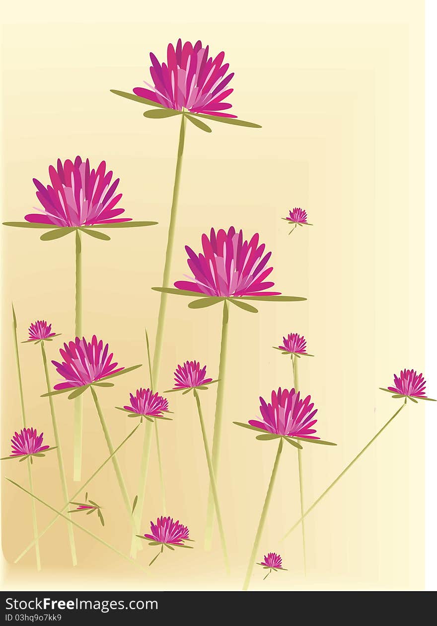 Vector Wild Flowers