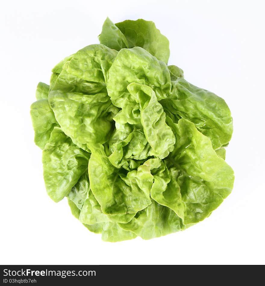 Lettuce