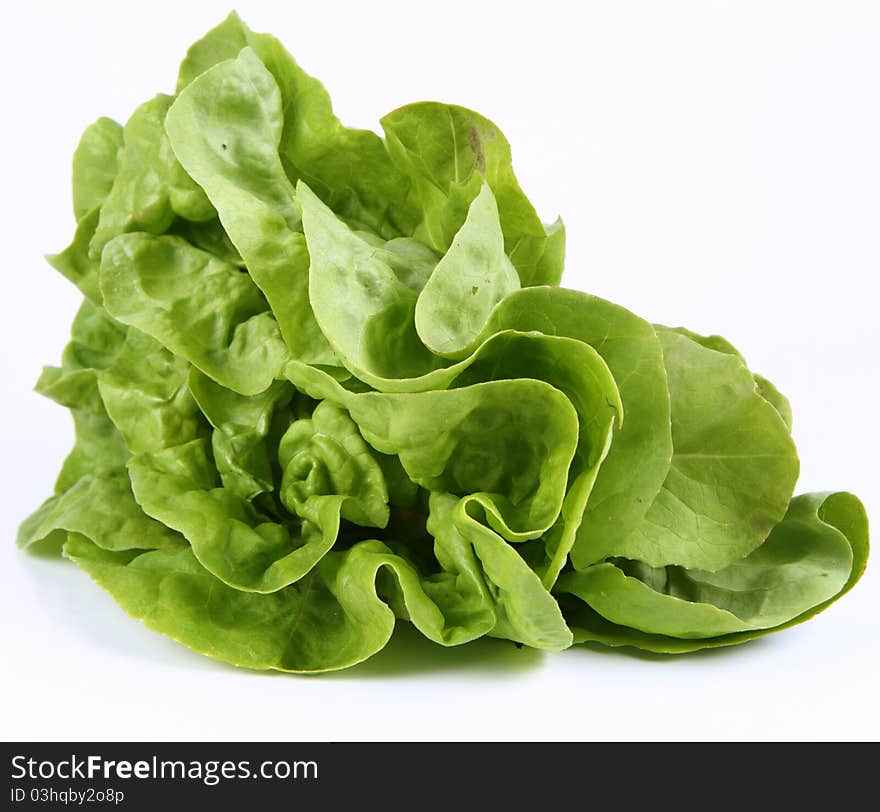 Lettuce