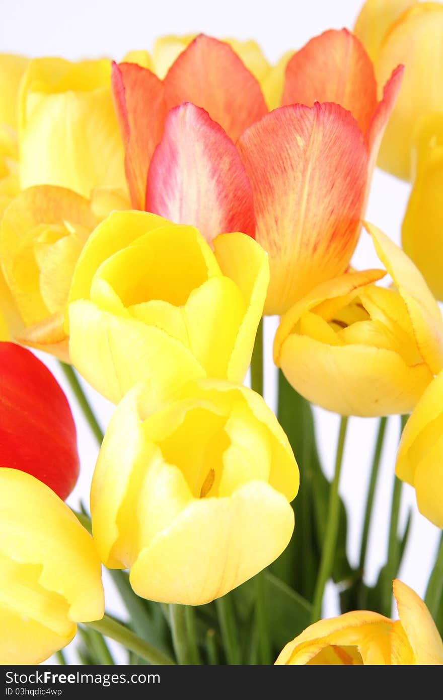 Bouquet of yellow, orange and red tulips