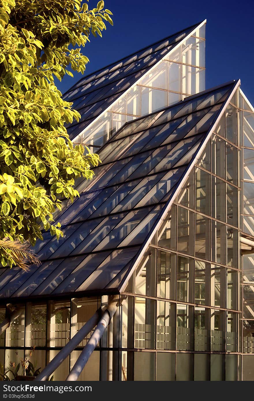 Glasshouse at the Menteng Garden, Central Jakarta, Indonesia