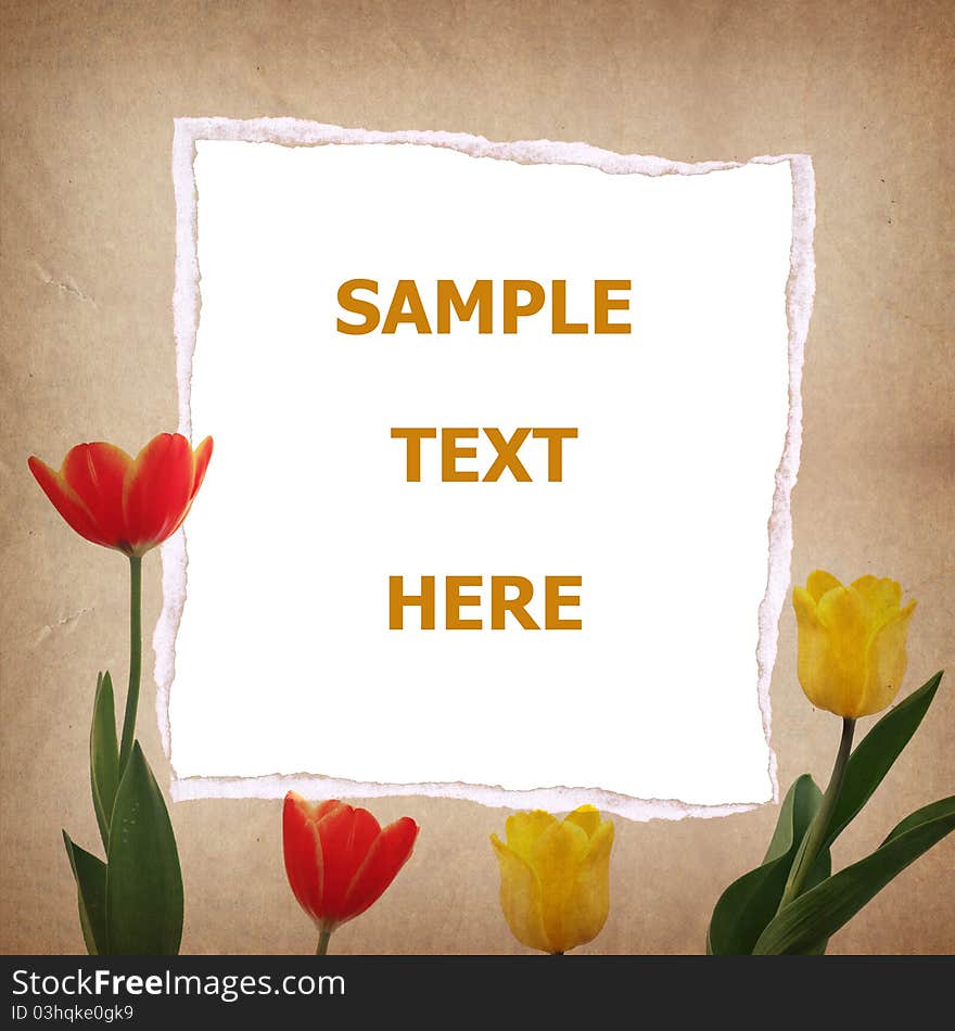 Tulip and old paper for text and background