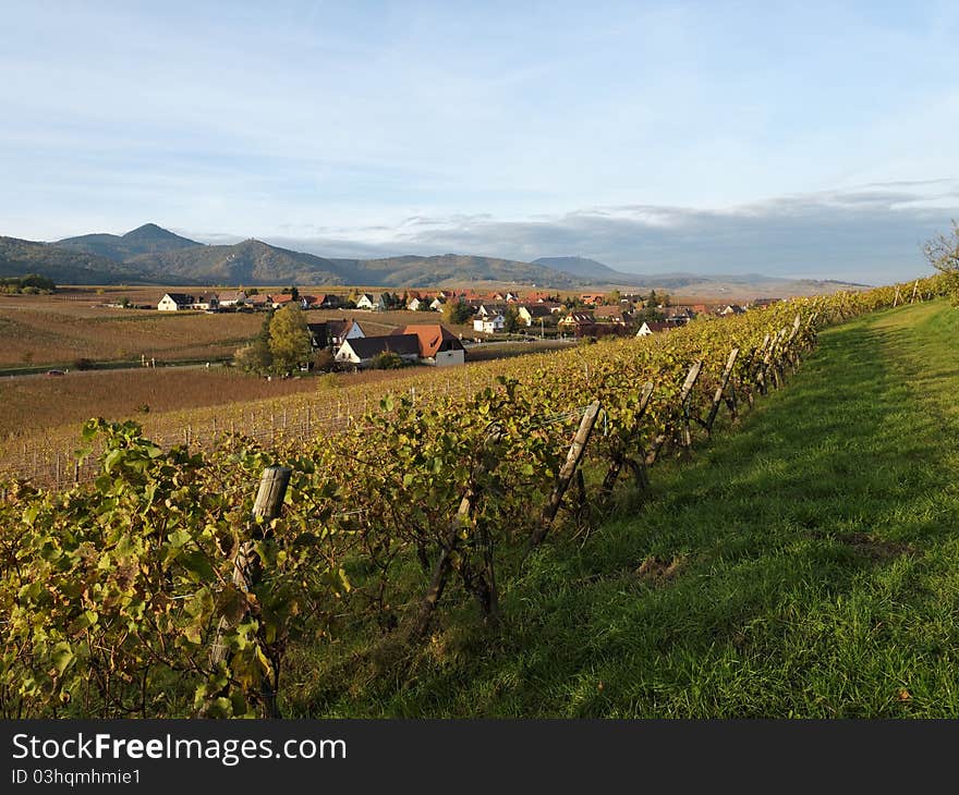 Alsatian landscape.