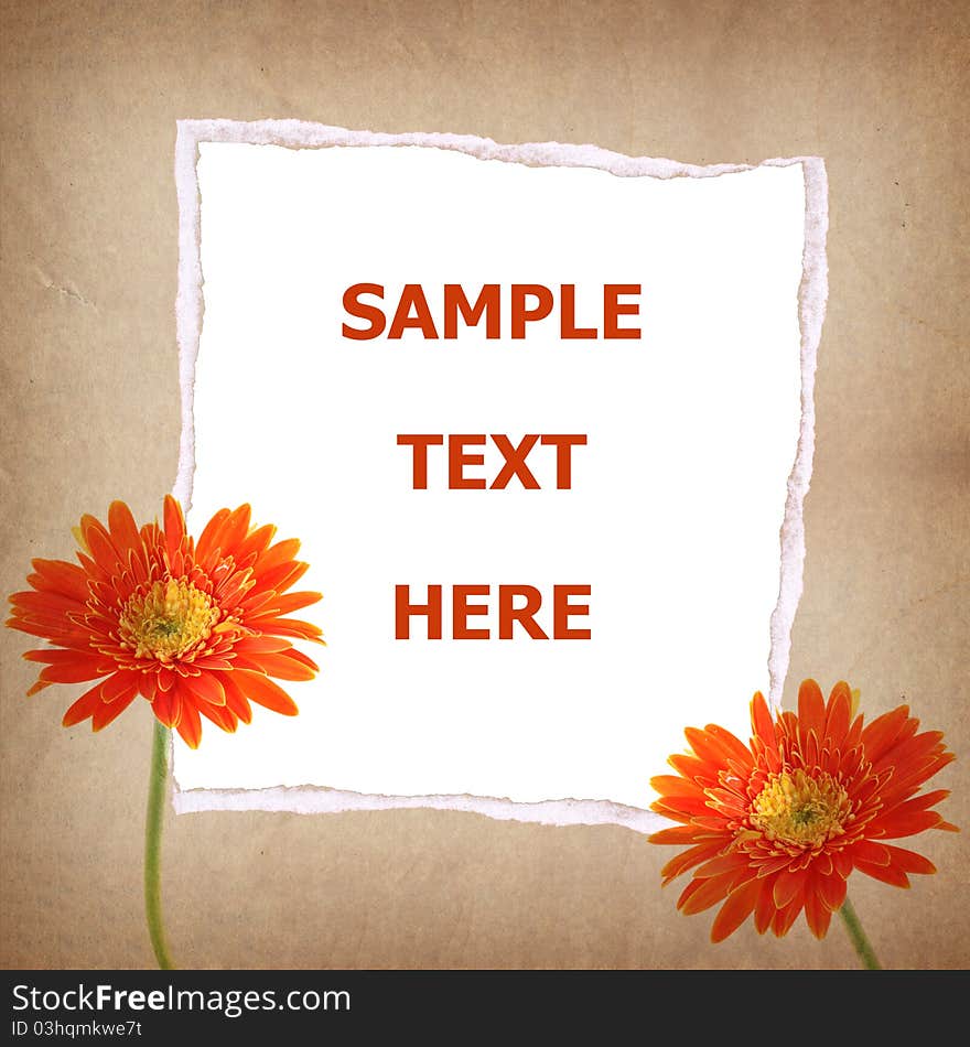 Couple Gerbera flower and old paper for text and background