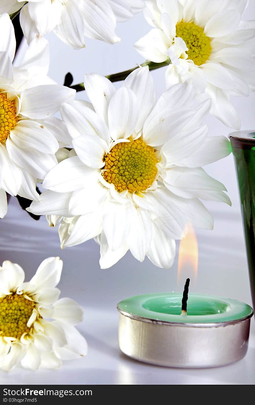 Simple white daisies and candle with isolated white background