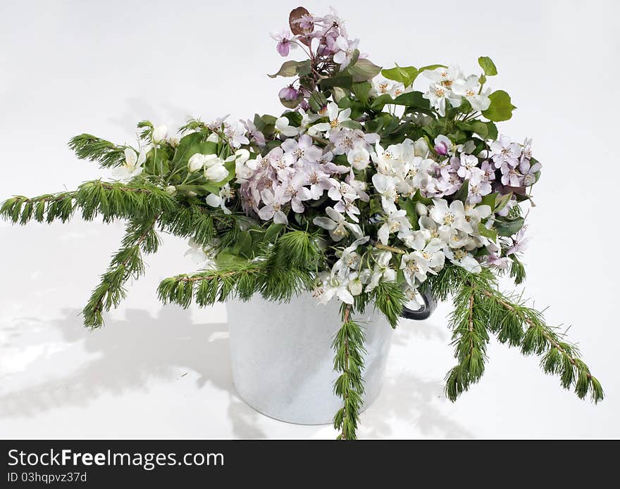 Spring bouquet of a white bird cherry