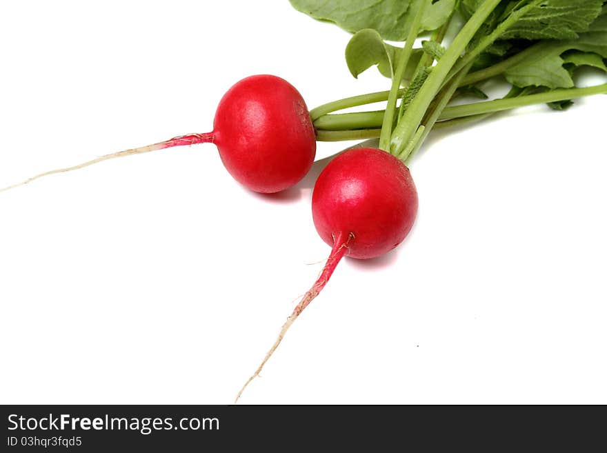 Two fresh radishes