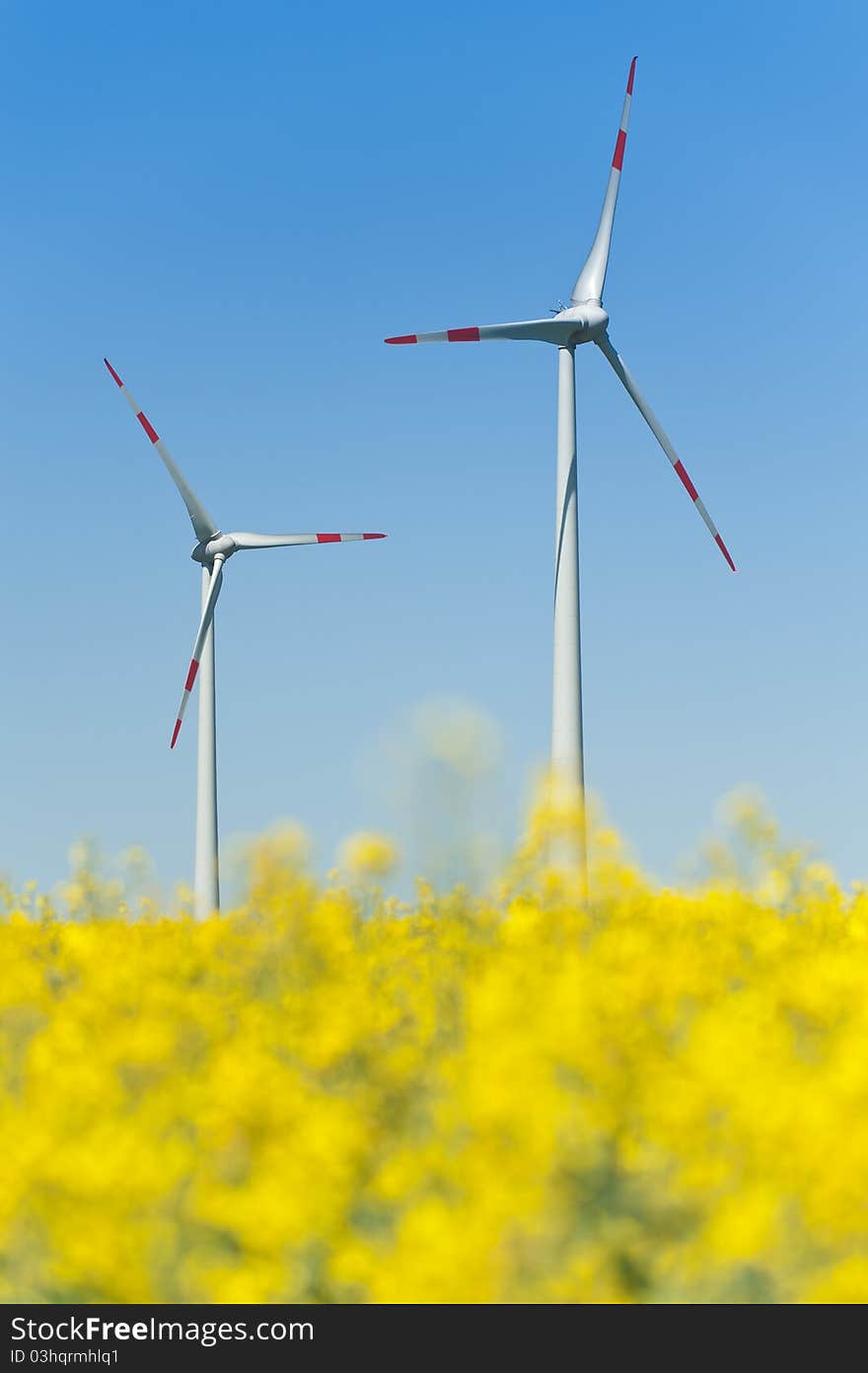 Wind turbines in a rapeseed field