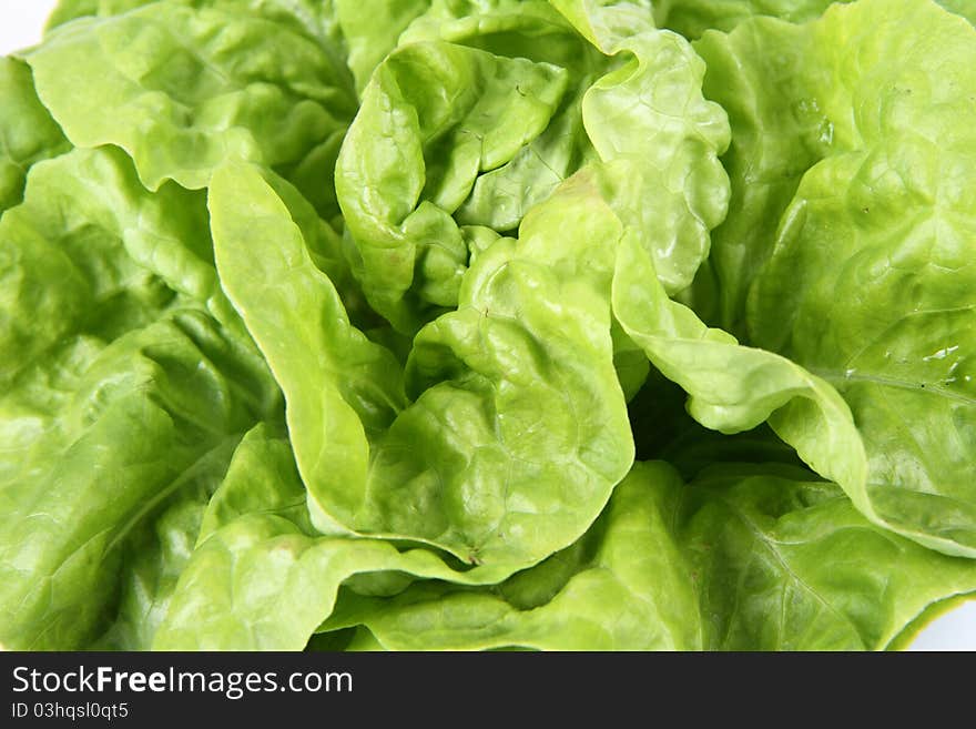 Lettuce