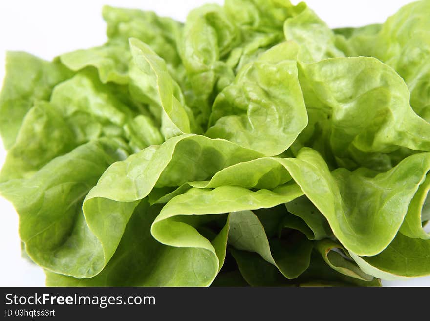 Lettuce