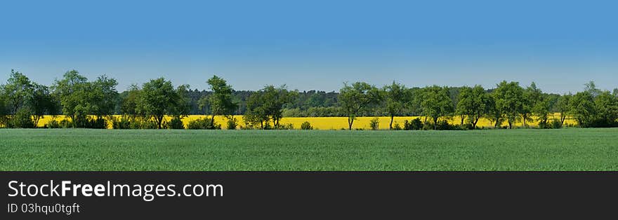 Alley between adjacent fields in Brandenburg, Germany