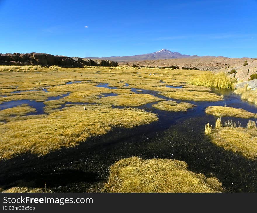 Uturunku volcano, Altiplano, Bolivia.