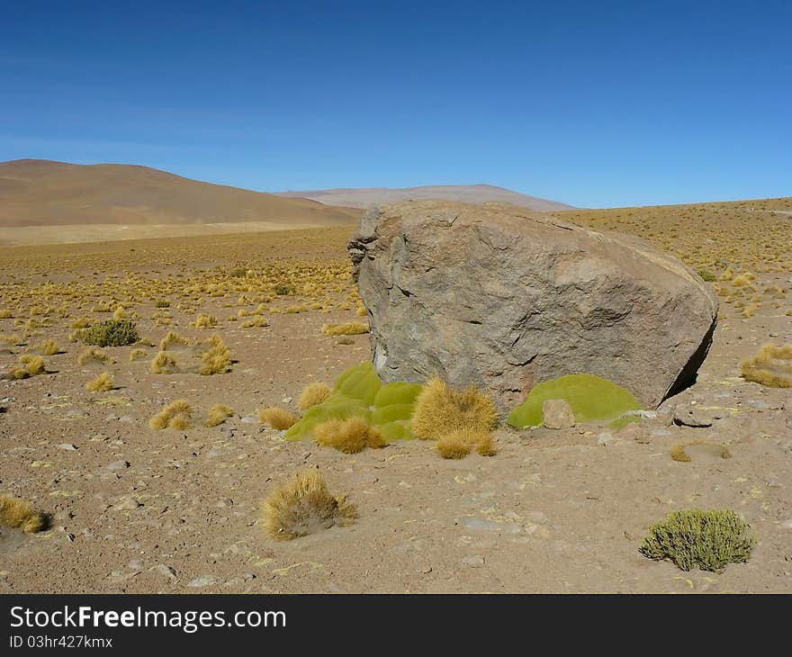 Uturunku volcano, Altiplano, Bolivia.