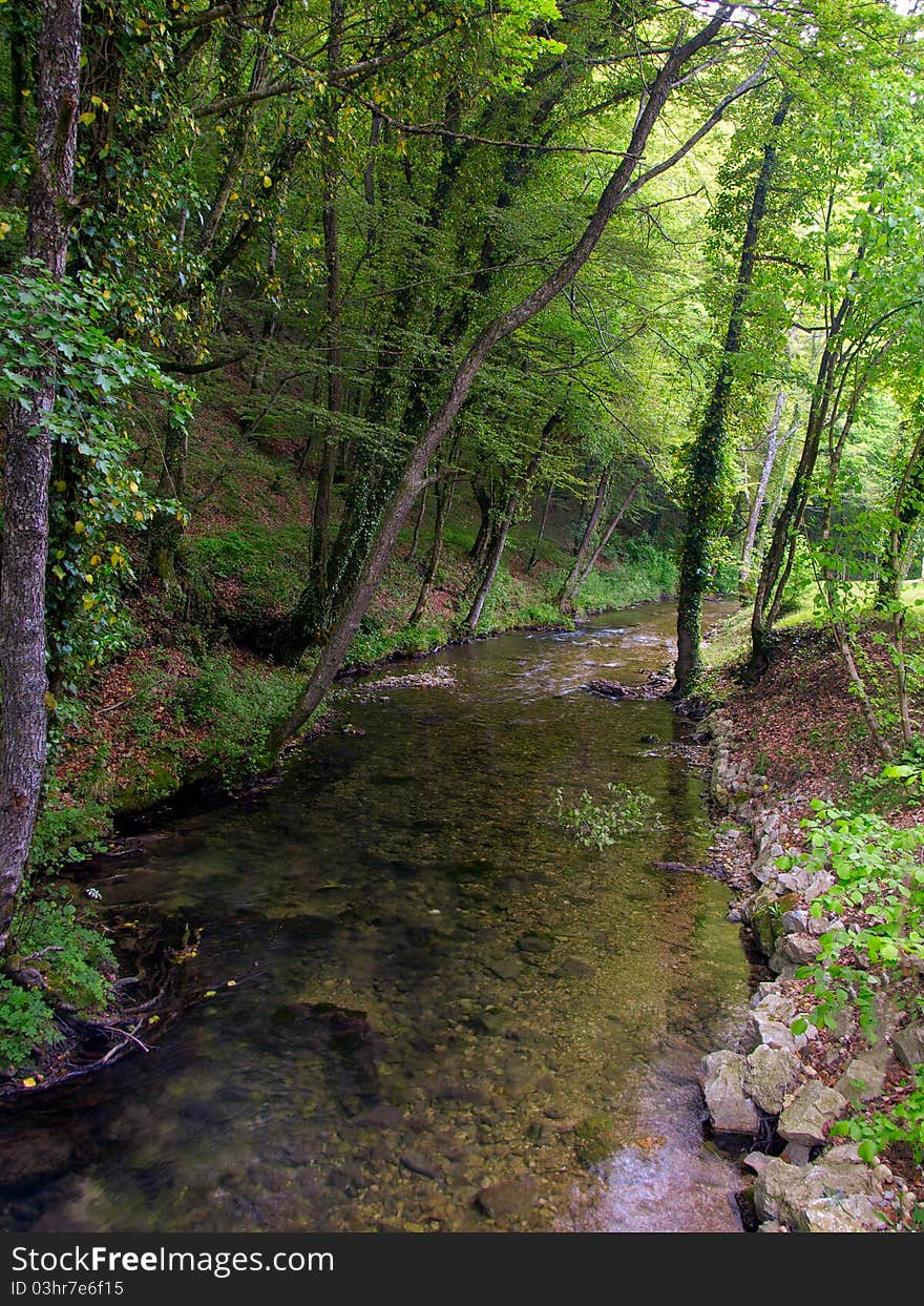 Small river slowly flowing through the forest. Small river slowly flowing through the forest