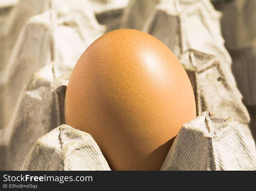 The egg lying in cardboard packing for eggs