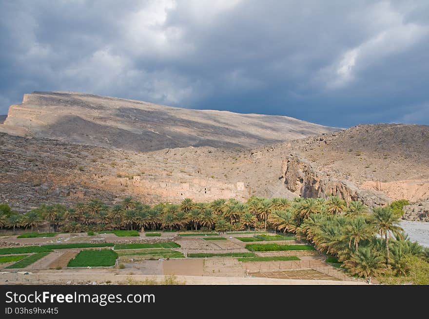 Oman Landscape