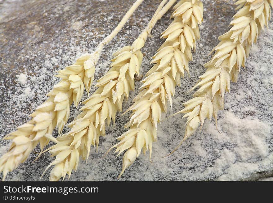 Rye Bread And Spikes Of Rye And Flour