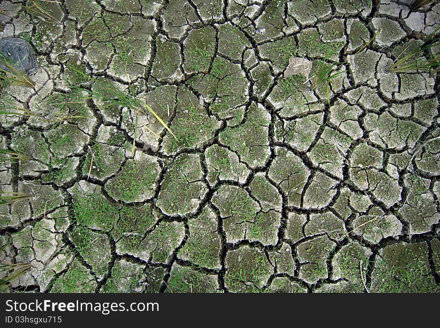 Damaged agricultural land