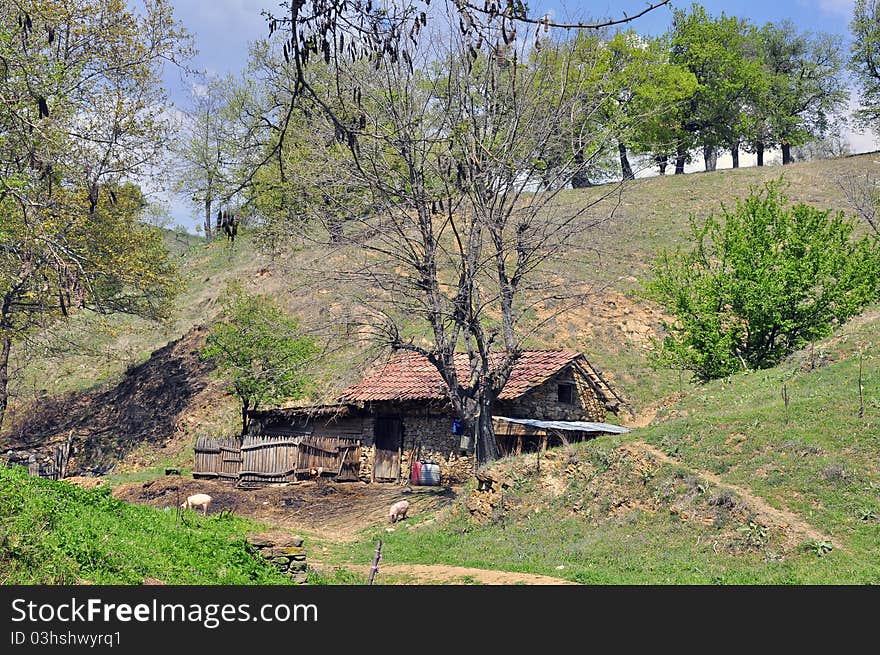 Rural tourism in mountain forest. Rural tourism in mountain forest