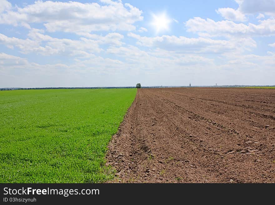 Lithuanian Horticulture Fields