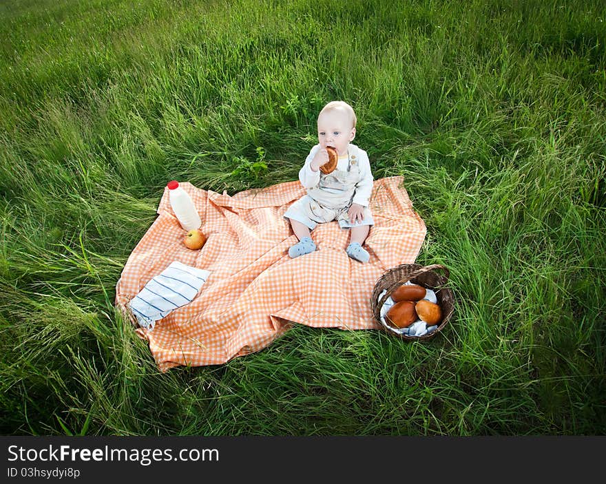 Picnic with baby sitting on green grass