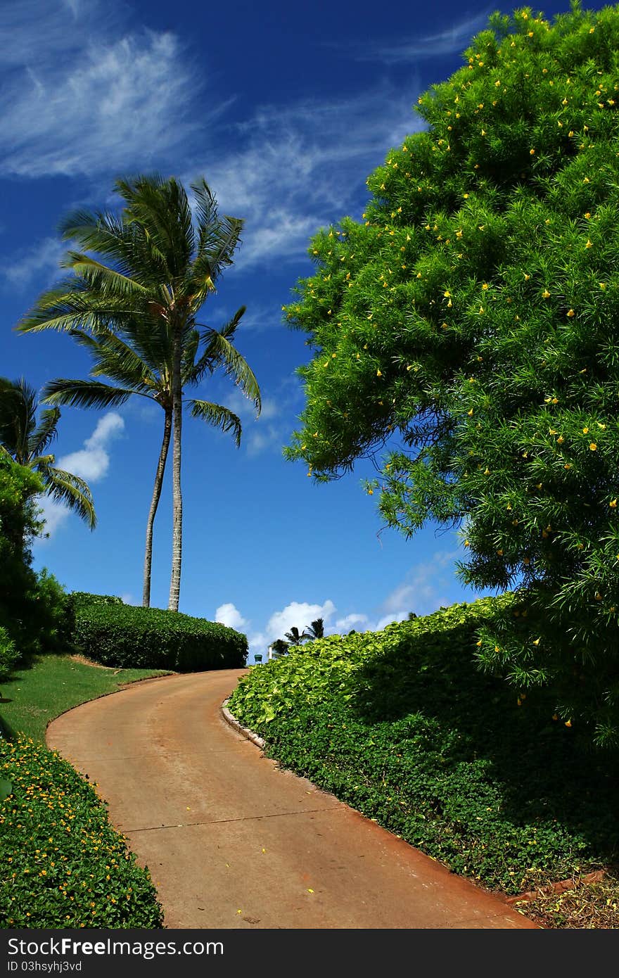 Tropical paradise on Hawaii Islands. Tropical paradise on Hawaii Islands