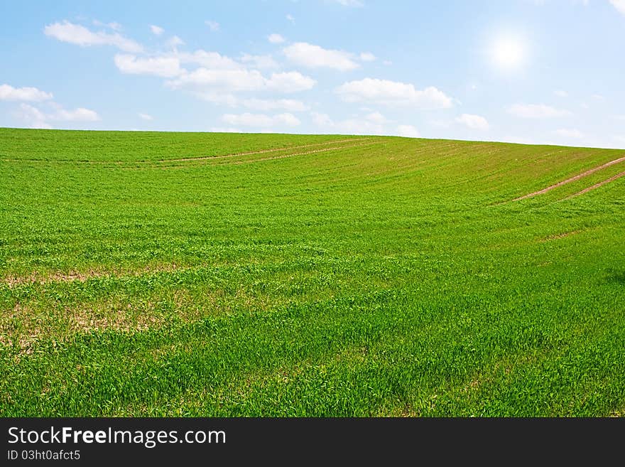 Green hill, of blue sky, Lithuania edge of fields and hills. Green hill, of blue sky, Lithuania edge of fields and hills