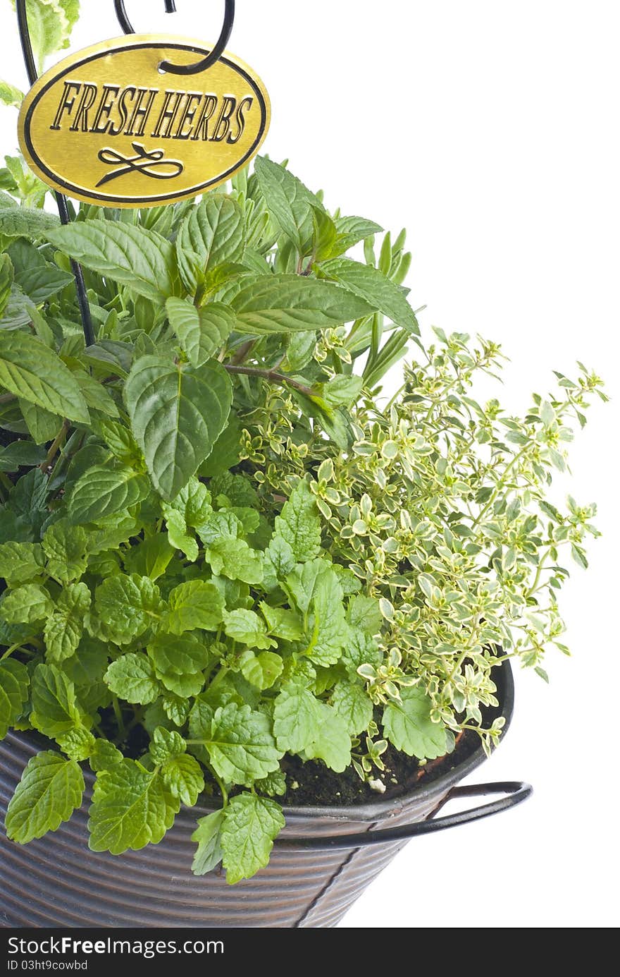 Mixed Fresh Herbs in a Basket