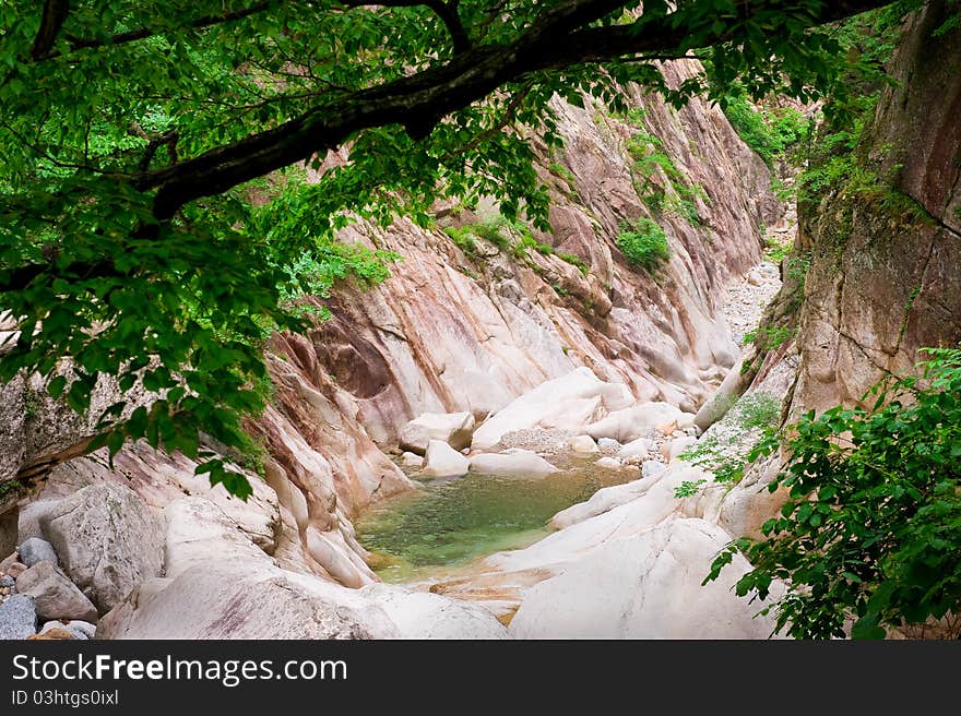 Forest creek canyon at Seoraksan National Park