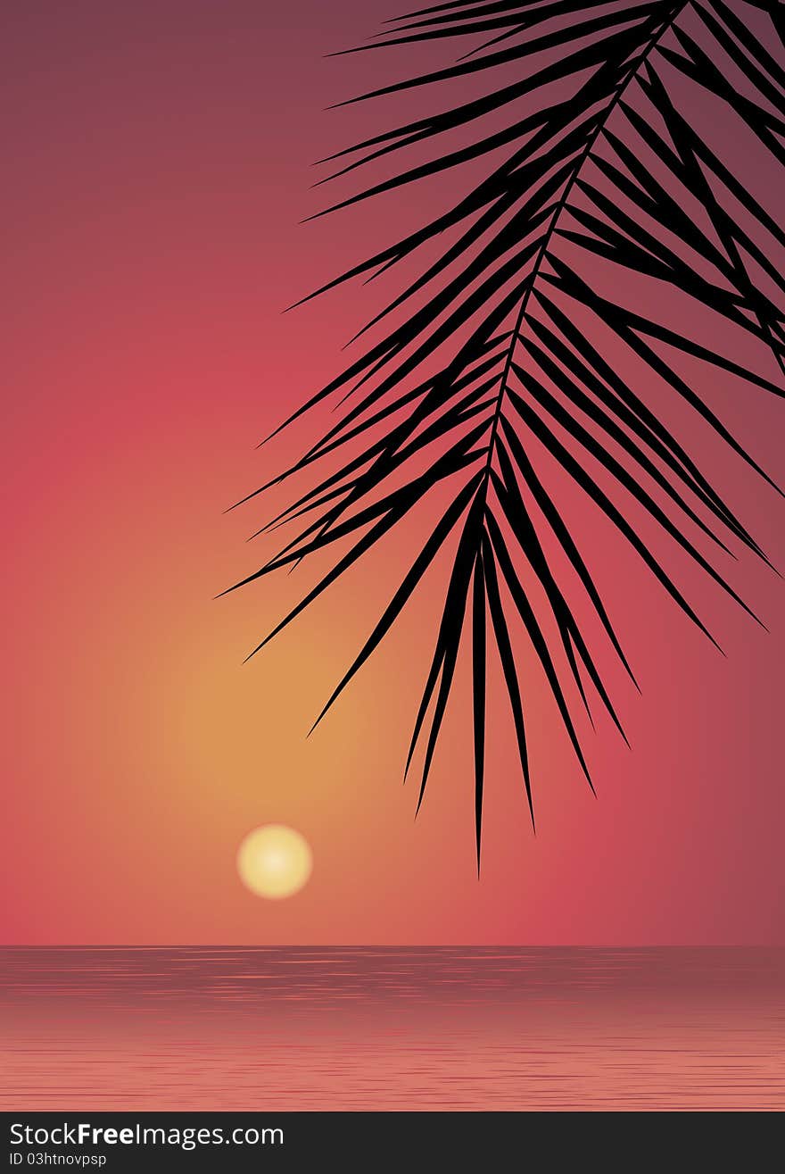 Sunset in sea. Palm leaves. Sunset in sea. Palm leaves