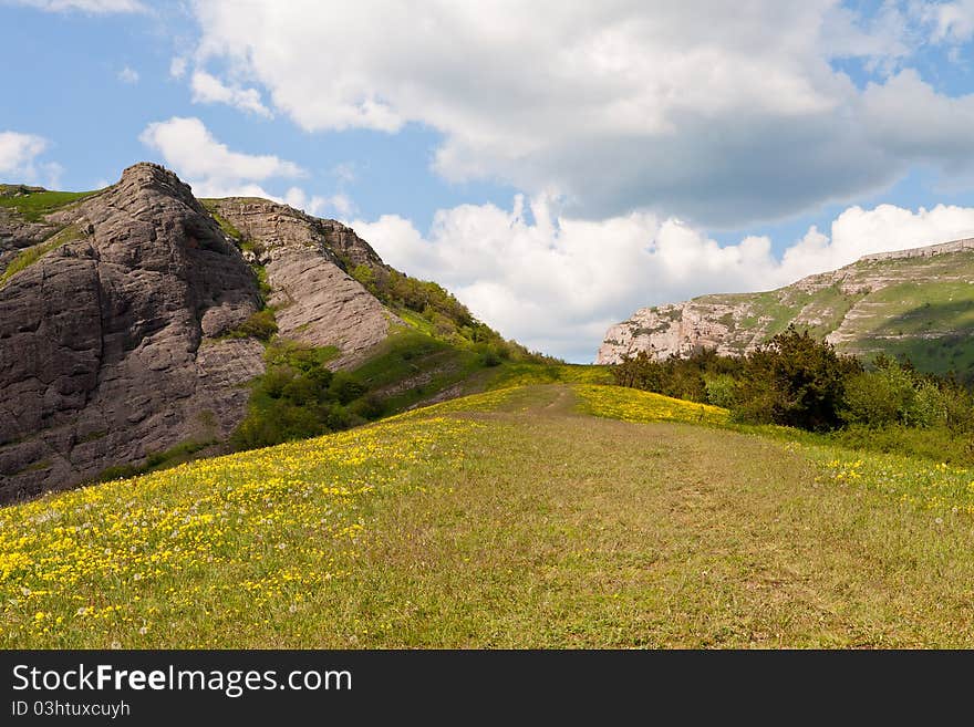 Mountain road with flowers, sky