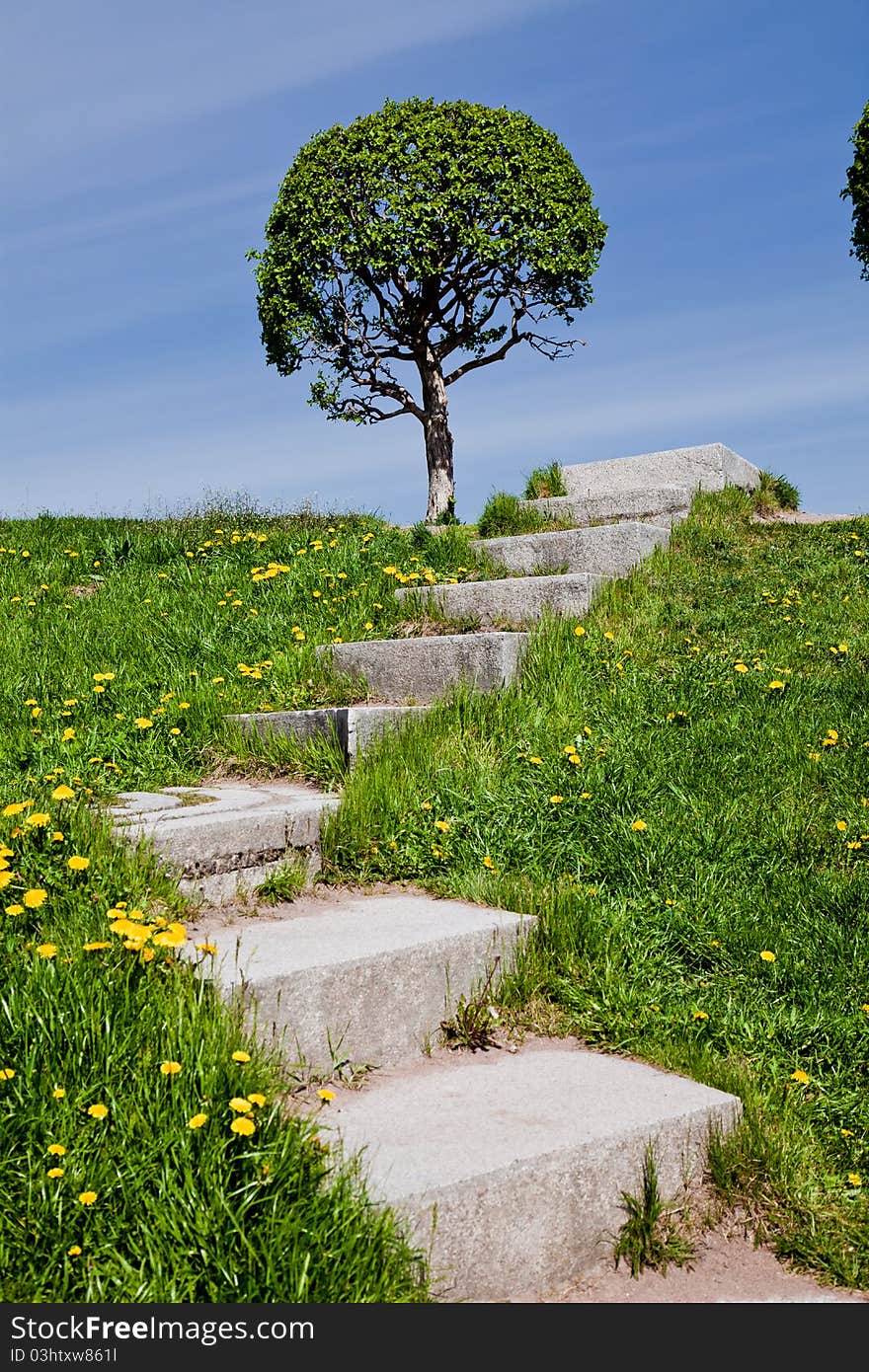 Summer landscape with blue sky. Summer landscape with blue sky