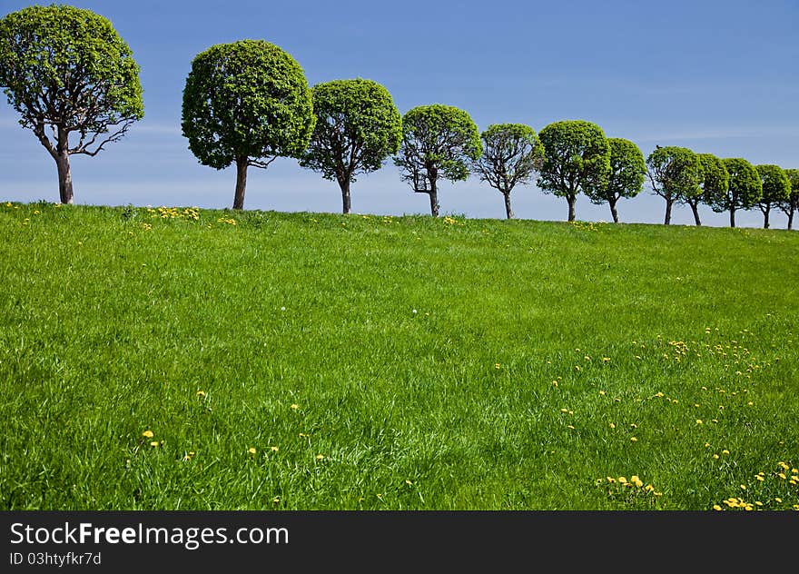 Summer landscape with blue sky. Summer landscape with blue sky